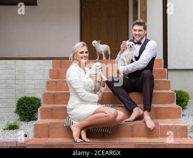 Mariée et marié excités avec peu de chiens Chihuahua blancs assis sur les marches du porche et souriant à la caméra Banque D'Images