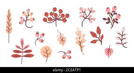 Un automne agréable. Jeu de dessins décoratifs d'automne de couleur. Récolte - diverses feuilles, brindilles et baies. Utilisation pour la décoration et le design d'automne. Vecteur Illustration de Vecteur