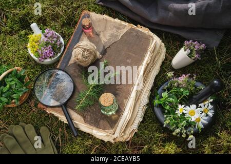 Bouteilles d'huile essentielles, herbes médicinales, vieux livre et loupe. Vue de dessus. Banque D'Images