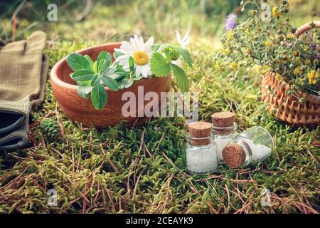 Trois bouteilles de globules homéopathiques, bol en bois et panier d'herbes médicinales, gants sur une mousse en forêt à l'extérieur. Banque D'Images