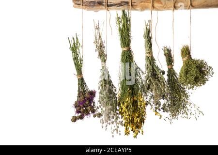 Des petits pains d'herbes médicinales suspendus sur fond blanc. Médecine alternative. Banque D'Images