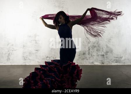 Danseuse de flamenco en action avec le costume de danse espagnol typique. Vitesse et mouvement élevés. Banque D'Images