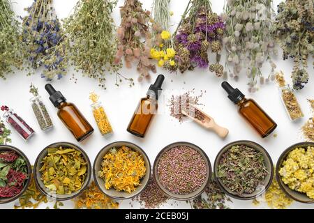 Bols d'herbes médicinales sèches, bouquets de plantes curatives, bouteilles de plantes médicinales sèches et bouteilles compte-gouttes d'huile essentielle sur fond blanc. Haut vi Banque D'Images