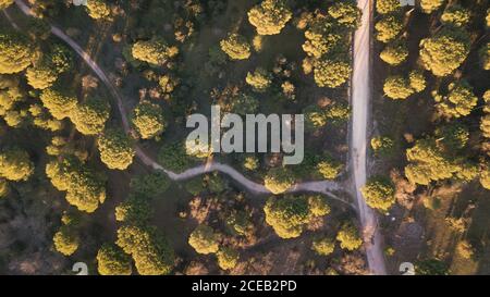 Intersection aérienne de deux routes dans les arbres verts d'été coucher de soleil dans la nature Banque D'Images