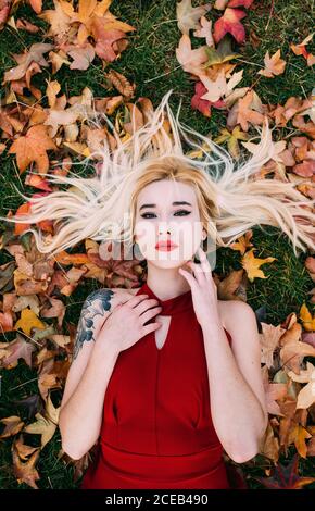 D'au-dessus de la femme blonde avec le bras tatoué couché sur l'herbe verte dans le feuillage et regardant la caméra. Banque D'Images