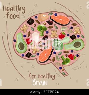 illustration vectorielle du cerveau abstrait rempli de nourriture bon pour c'est la santé Illustration de Vecteur