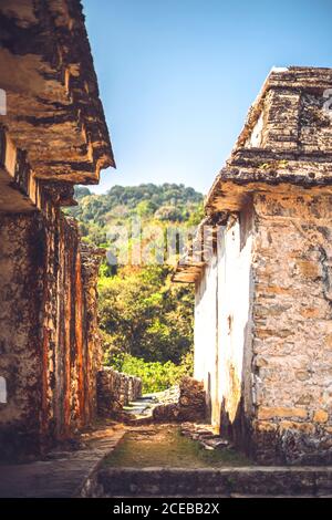 Vue sur l'incroyable pyramide maya située dans la ville de Palenque à Chiapas, Mexique Banque D'Images