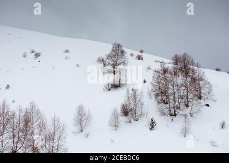 Vue sur la colline enneigée et les arbres sans feuilles par temps nuageux. Banque D'Images