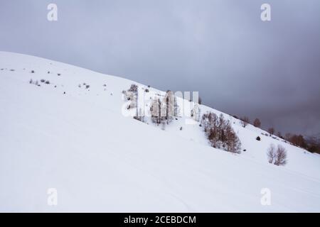 Colline enneigée et arbres sans feuilles Banque D'Images