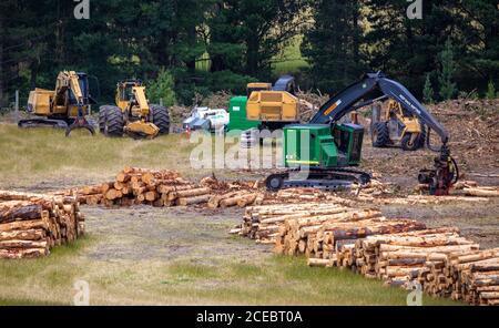 Hurunui, Canterbury, Nouvelle-Zélande, décembre 25 2019: Machines forestières utilisées pour le fraisage de bois et le chargement de grumes. Banque D'Images