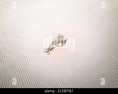 Woman lying on beach Banque D'Images
