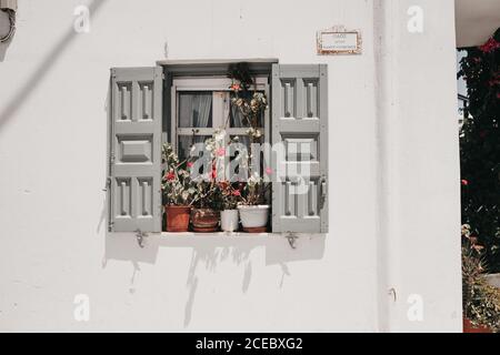 Volets de fenêtre ouverts avec fleurs maison sur le seuil de la lumière Bâtiment à Mykonos Banque D'Images