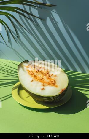 Peau de crapaud demi-melon, thème d'été coloré. Sur fond bleu et vert, ombres des feuilles de palmier Banque D'Images