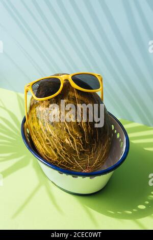 La peau de crapaud melons variété avec des lunettes de soleil amusantes, en bleu et vert arrière-plan ombres des feuilles de palmier sont reflétées Banque D'Images