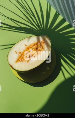 Peau de crapaud demi-melon, thème d'été coloré. Sur fond bleu et vert, ombres des feuilles de palmier Banque D'Images