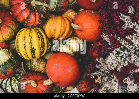 Différentes sortes de citrouilles à l'intérieur d'une boîte en bois, décorées de fleurs, décoration dans la rue. Banque D'Images