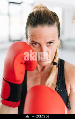 Femme adulte en gants de boxe debout en position de combat et regardant la caméra pendant l'entraînement Banque D'Images