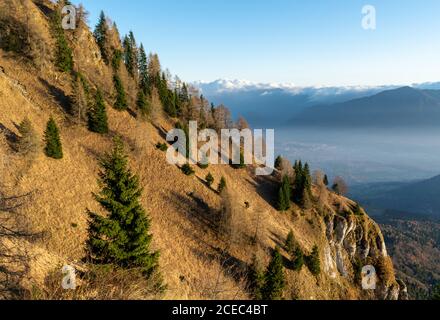 Montagne couverte d'arbres aux couleurs de l'automne et éclairée par les rayons du soleil couchant. Aperçu de la vallée au loin. Belluno, Italie Banque D'Images