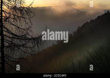 Montagne couverte d'arbres et éclairée par les rayons du soleil couchant qui se brisent à travers la brume. Branches d'un arbre sec. Belluno, Italie Banque D'Images