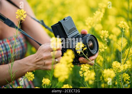 Femme faisant la photo dans la nature avec des fleurs jaunes gros plan Banque D'Images