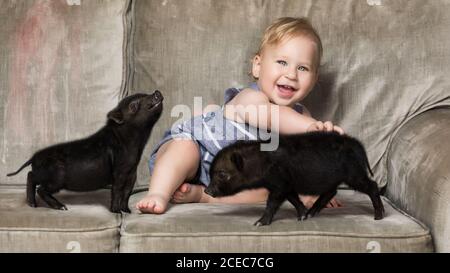 Mignon jeune garçon assis avec deux petits cochons noirs sur le canapé. Banque D'Images
