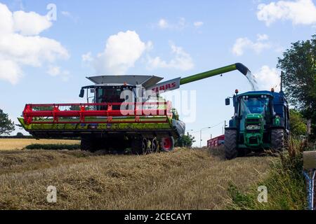 31 août 2020 Une moissonneuse-batteuse Claas Lexion 570 déchargeant du grain dans une grande remorque dans un champ d'orge dans le comté de Bangor en Irlande du Nord Banque D'Images