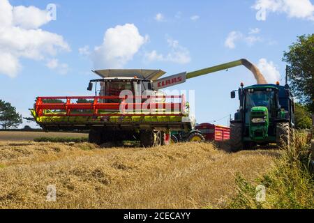 31 août 2020 Une moissonneuse-batteuse Claas Lexion 570 déchargeant du grain dans une grande remorque dans un champ d'orge dans le comté de Bangor en Irlande du Nord Banque D'Images