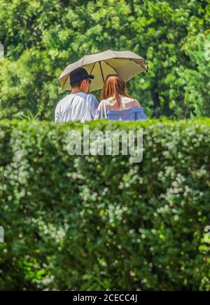 Jeune couple marchant dans le parc et ayant un parapluie pour se protéger du soleil brillant. Banque D'Images