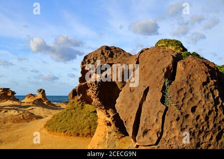 Formation naturelle de roches à Yehliu Geopark, une des merveilles les plus célèbres de Wanli, New Taipei City, Taïwan. Banque D'Images