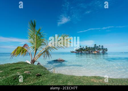 Vue pittoresque des arbres tropicaux entre mer, rivage avec herbe verte et ciel bleu dans les îles San Blas, Panama Banque D'Images