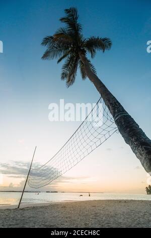 Filet de Beach-volley sur le rivage de sable près de l'arbre tropical et beau ciel au coucher du soleil dans les îles San Blas, Panama Banque D'Images