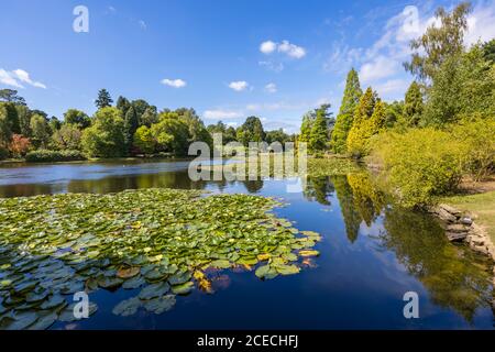 Vue sur l'étang de dix pieds dans Sheffield Park Garden, un jardin paysager informel par Capability Brown dans l'est du Sussex, près de Haywards Heath, en Angleterre Banque D'Images