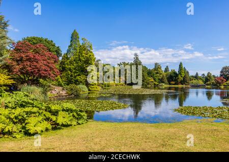 Vue sur l'étang de dix pieds dans Sheffield Park Garden, un jardin paysager informel par Capability Brown dans l'est du Sussex, près de Haywards Heath, en Angleterre Banque D'Images