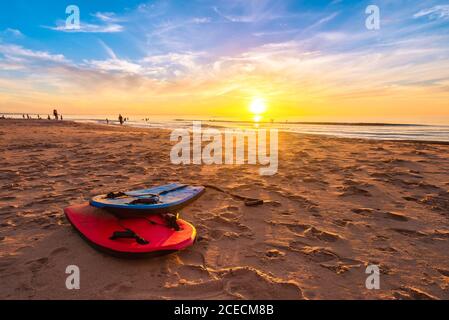 Baignade de planches de bodyboard sur la plage au beau coucher du soleil lors d'une chaude soirée d'été, Australie méridionale Banque D'Images