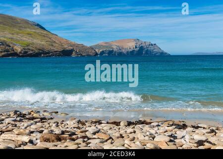 Plage en gravier, grave Cove, West Falkland Island, Falkland Islands, territoire britannique d'outre-mer Banque D'Images