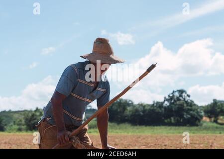 Homme âgé cultivant le sol par beau temps Banque D'Images
