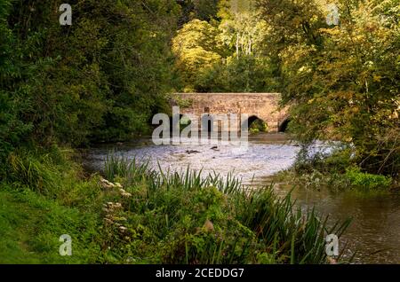 L'ancien pont à Lower Heyford, qui traverse la rivière Cherwell dans l'Oxfordshire, Angleterre, Royaume-Uni Banque D'Images