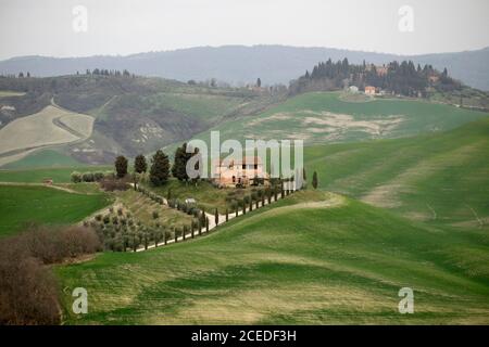 ASCIANO, Toscane, Italie - 07 mars 2019 : fermes dans le paysage caractéristique de la Toscane, Italie Banque D'Images