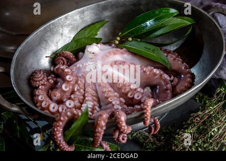 Tentacules de pieuvre frais aux herbes aromatiques couchées dans un bol en métal dans la cuisine Banque D'Images