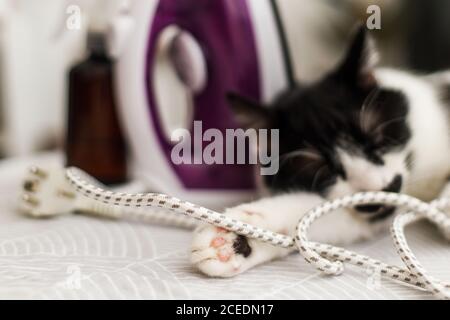 Adorables pattes de chat gros plan, chat paresseux dormant dans un câble de fer sur un tissu moderne. Mignon chat noir et blanc se détendre sur la planche à repasser dans la chambre élégante, confortable Banque D'Images