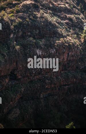 D'en haut de la vue des oiseaux volant haut au-dessus de la gouge verte avec la falaise rocheuse énorme, Espagne Banque D'Images