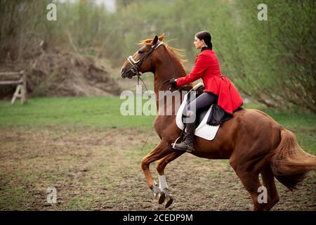Une femme jockey exécute un tour de bougie sur l'hippodrome Banque D'Images