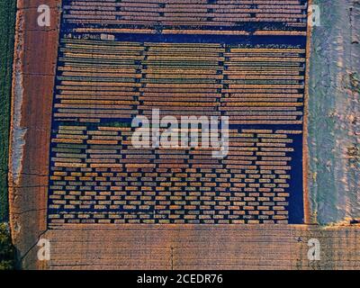 Vue aérienne des champs agricoles divisée en parcelles Banque D'Images