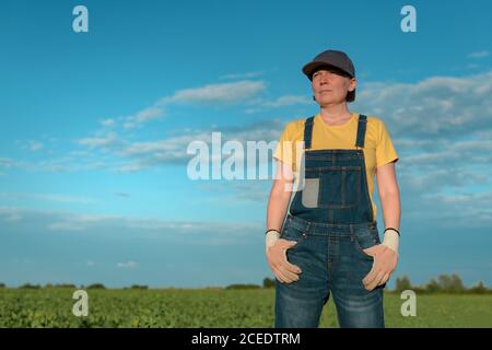 Agricultrice posant dans le champ de betterave à sucre, culture de Beta vulgaris Banque D'Images