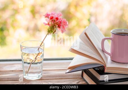 La fleur de géranium rose se trouve dans un verre d'eau claire à côté des livres Banque D'Images