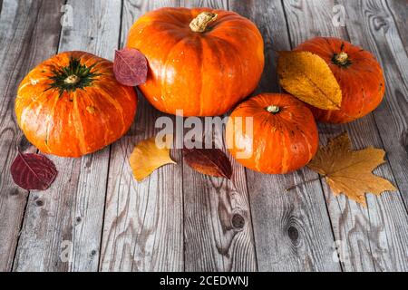 Vue de dessus de nombreux citrouilles avec des feuilles de couleur sur du bois carte Banque D'Images