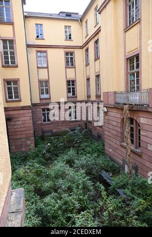 01 septembre 2020, Hessen, Francfort-sur-le-main : une cour intérieure de l'ancien quartier général de la police est surcultivée avec des plantes. Dans la zone de l'ancien quartier général de la police de Francfort, un ensemble de bâtiments doit être créé, composé d'un nouveau bâtiment avec une tour et le stock coté. Le développeur du projet Gerchgroup a acheté le bien, qui est vacant depuis 2002, à l'État de Hesse en mars 2018 pour environ 212.5 millions d'euros. La zone près de la gare principale et du salon couvre 15.4 hectares. Le futur bâtiment est à la maison des bureaux, un hôtel et financé par le privé et Banque D'Images