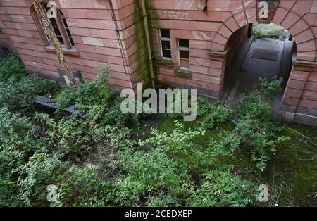 01 septembre 2020, Hessen, Francfort-sur-le-main : une cour intérieure de l'ancien quartier général de la police est surcultivée avec des plantes. Dans la zone de l'ancien quartier général de la police de Francfort, un ensemble de bâtiments doit être créé, composé d'un nouveau bâtiment avec une tour et le stock coté. Le développeur du projet Gerchgroup a acheté le bien, qui est vacant depuis 2002, à l'État de Hesse en mars 2018 pour environ 212.5 millions d'euros. La zone près de la gare principale et du salon couvre 15.4 hectares. Le futur bâtiment est à la maison des bureaux, un hôtel et financé par le privé et Banque D'Images