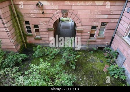 01 septembre 2020, Hessen, Francfort-sur-le-main : une cour intérieure de l'ancien quartier général de la police est surcultivée avec des plantes. Dans la zone de l'ancien quartier général de la police de Francfort, un ensemble de bâtiments doit être créé, composé d'un nouveau bâtiment avec une tour et le stock coté. Le développeur du projet Gerchgroup a acheté le bien, qui est vacant depuis 2002, à l'État de Hesse en mars 2018 pour environ 212.5 millions d'euros. La zone près de la gare principale et du salon couvre 15.4 hectares. Le futur bâtiment est à la maison des bureaux, un hôtel et financé par le privé et Banque D'Images