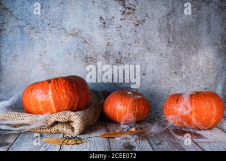 Trois citrouilles sur fond rustique foncé couvertes la nuit Avec toile d'araignée pour Halloween Banque D'Images